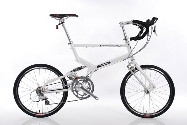 Tartaruga Type SPORT ULTEGRA