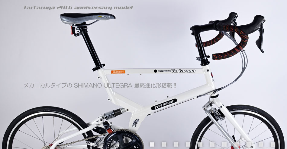 Tartaruga 20th Aniversary model