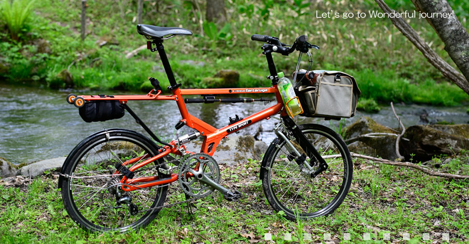 Tartaruga Type SPORT ver.1.5