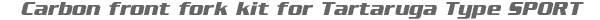 Carbon front fork kit for Type SPORT