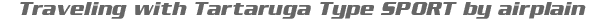 Type S frame color logo